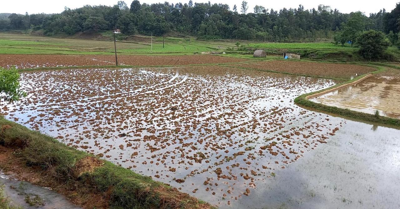 Somvārpet Coorg Coffee Park Farmstay מראה חיצוני תמונה
