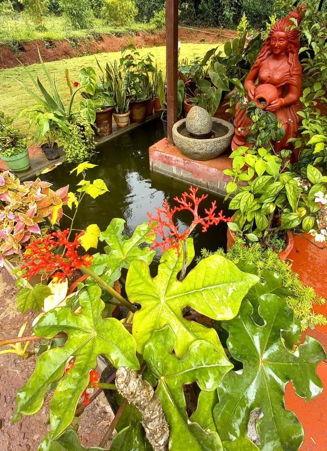 Somvārpet Coorg Coffee Park Farmstay מראה חיצוני תמונה