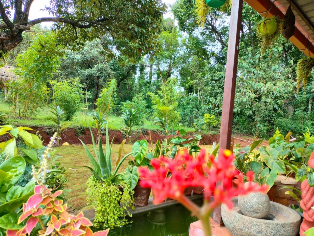 Somvārpet Coorg Coffee Park Farmstay מראה חיצוני תמונה