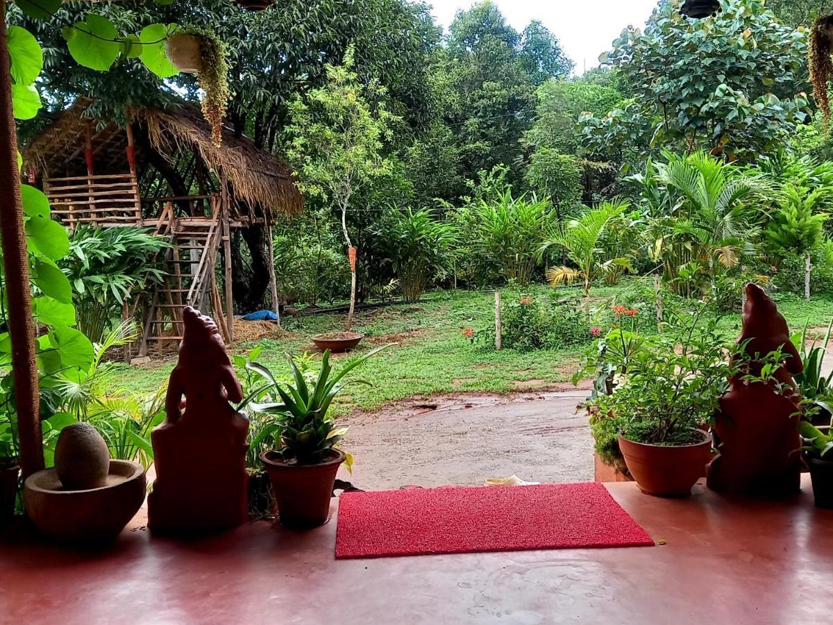 Somvārpet Coorg Coffee Park Farmstay מראה חיצוני תמונה