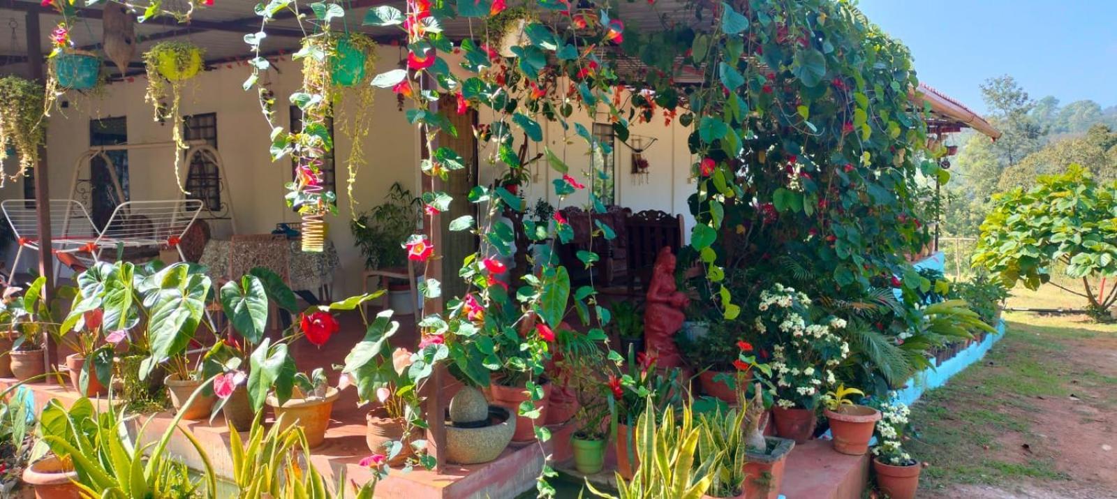Somvārpet Coorg Coffee Park Farmstay מראה חיצוני תמונה