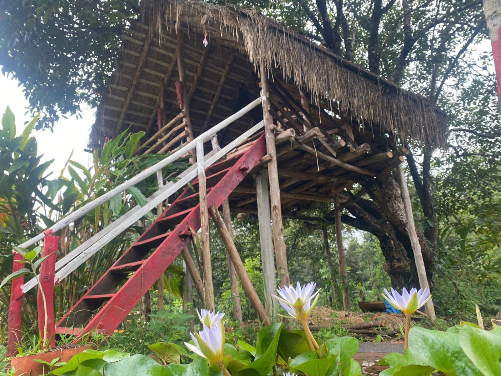 Somvārpet Coorg Coffee Park Farmstay מראה חיצוני תמונה